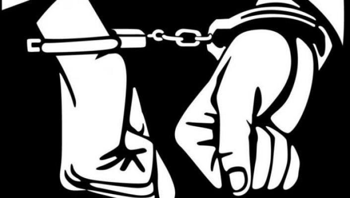 Tujuh Bulan DPO, Pelaku Pencurian Dibekuk