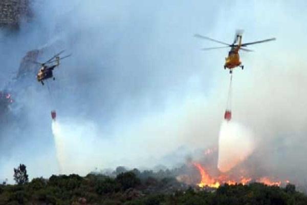 Kebakaran Lahan Marak Terjadi di Kota Pekanbaru, Kabut Asap Mulai Muncul