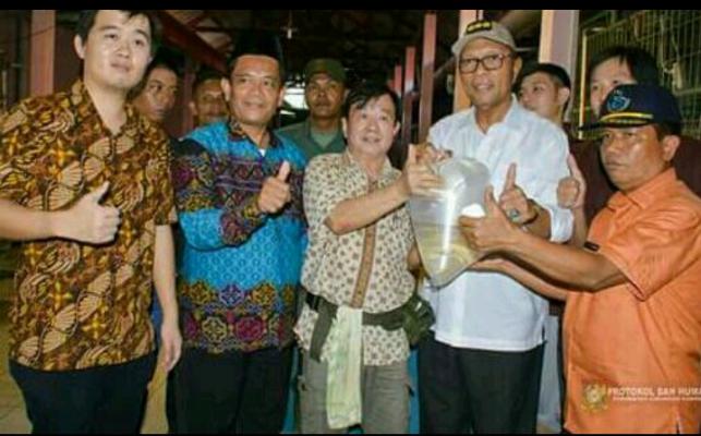 Bupati Kampar H Aziz Zaenal Tinjau Usaha Ikan Arwana 