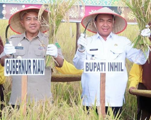Gubri dan Bupati Panen Raya Padi dan Gerakan Tanam Serentak Peremajaan Kebun Kelapa Rakyat di Kempas, Inhil