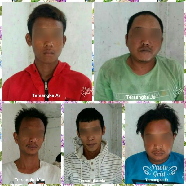 Lima Pria di aman kan polisi,karena kepemilikan Narkotika