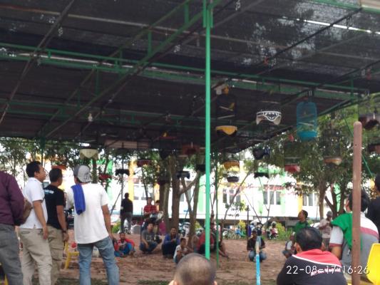 Perlombaan Kicawan Burung di Sparadis Batu Aji, Diminati Para Pecinta Burung