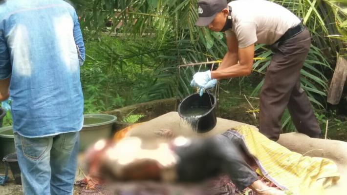 Seorang Kakek di Rohil Ditemukan Tewas Membusuk Disamping Rumah Warga