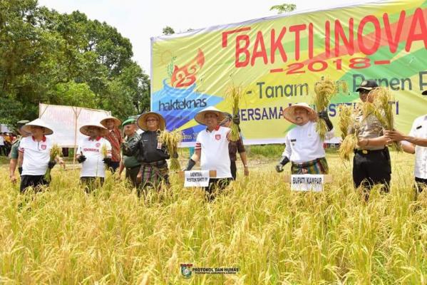   Menristekdikti RI Prof.DR.H.Mohamad Nasir Panen Padi di Kampar