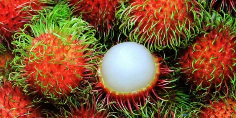 Bocah 7 tahun di Malaysia tewas usai tersedak saat makan rambutan