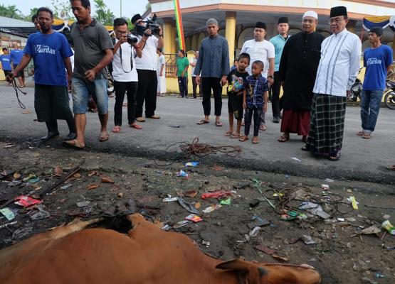 Bupati HM Wardan Hadiri Pemotongan Hewan Qurban di Mesjid Al-Ghulam