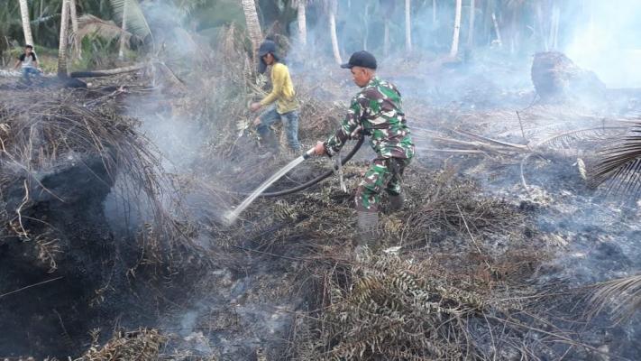 Satgas TNI Polri Berjibaku Padamkan Api