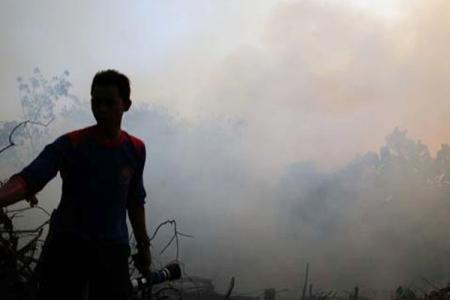 Kabut Asap Selimuti Sejumlah Wilayah di Riau