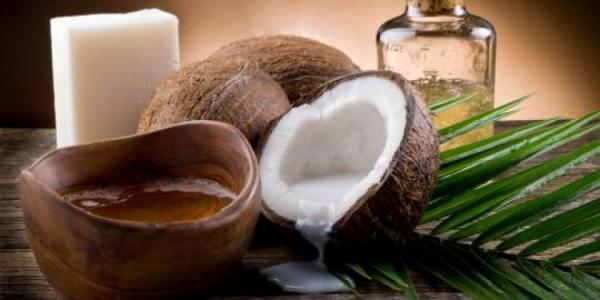 BPPT Kembangkan Minyak Kelapa Sebagai Bahan Bakar Pesawat