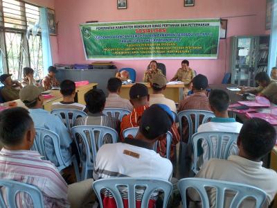  Sosialisasi Program Sekolah Lapangan ke kelompok tani Rupat