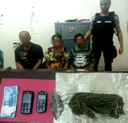 Diduga Sebagai Penjual Ganja, Pasutri Lansia ini Meringkuk di Sel Mapolres Rohil