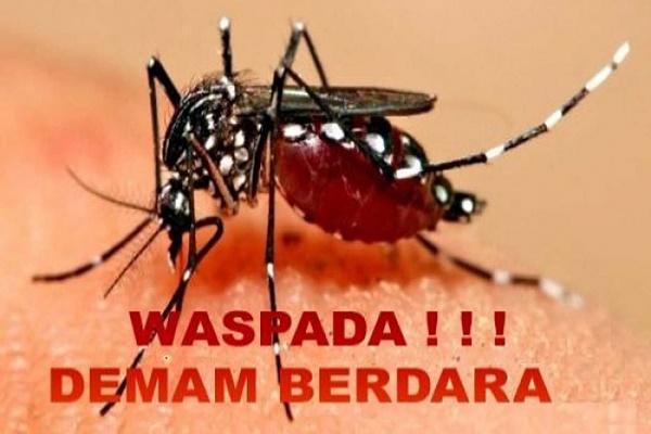 168 Kasus DBD Terjadi di Kota Dumai, Diskes: Belum KLB