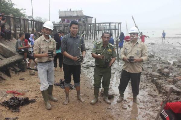 Antisipasi Abrasi, IPMK2M Tanam Mangrove
