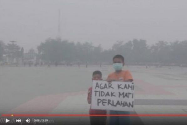 Asap Riau Parah Lagi, Jarak Pandang tak Sampai 50 Meter