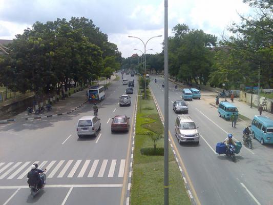 DKP Pekanbaru Percantik Wajah Kota Dengan Menanam Bunga