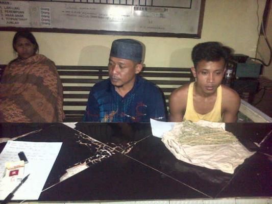 Dua Laki Dan Seorang Wanita Pengedar Ganja Diringkus Polisi