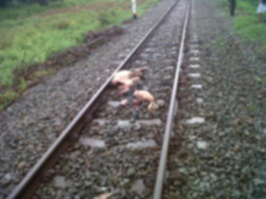 Mayat Mister X di Duga Tertabrak Kereta Api