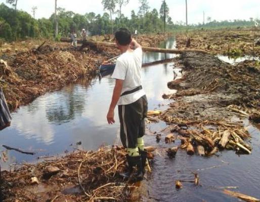 Mengenang Satu Tahun Tragedi Pungkat Kelabu