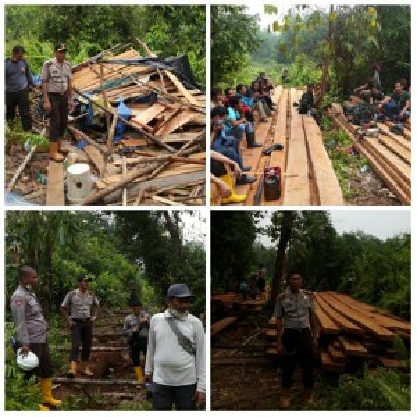 Operasi Karhutla, Polres Rohil Temukan 35 Kubik Kayu Illog