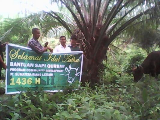 PT SRL Distribusikan Hewan Qurban di 13 Desa Kecamatan Rupat