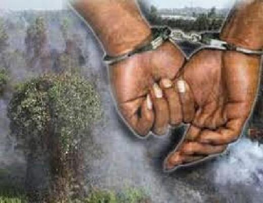 Tersangka Karlahut Inhil 8 Orang