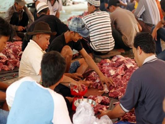 Total 1.673 Hewan Disembelih di Dumai