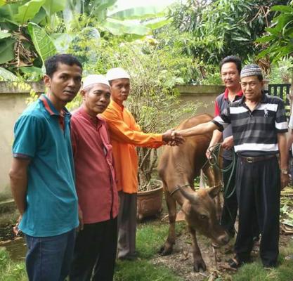 KBB Inhil Sembelih 4 Ekor Sapi Kurban