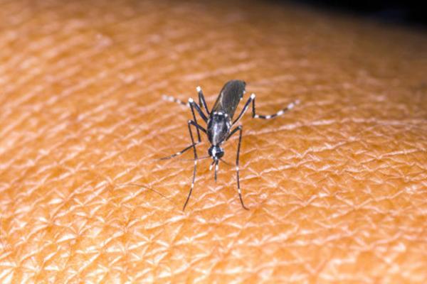 Lagi, Malaysia Umumkan Terinfeksi Kasus Virus Zika