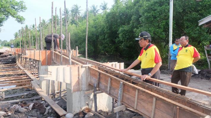Bupati Inhil Tinjau Pembangunan Infrastruktur Jalan dan Jembatan di Kecamatan Pulau Burung