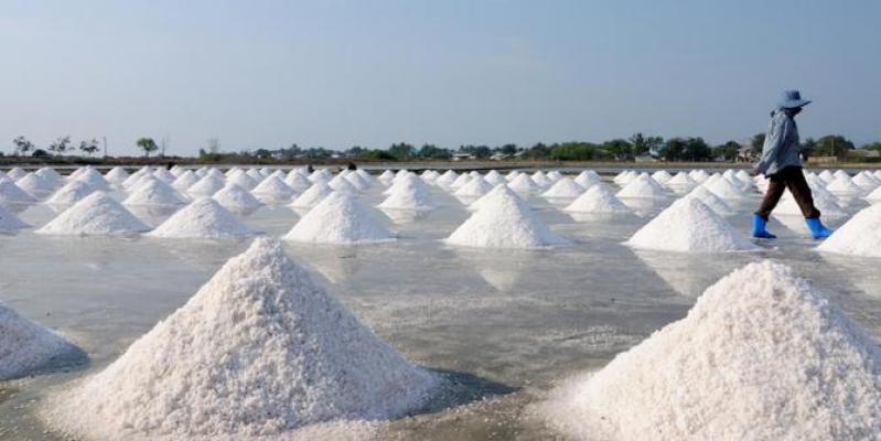 Garam Laut Terancam Pencemaran Pelastik