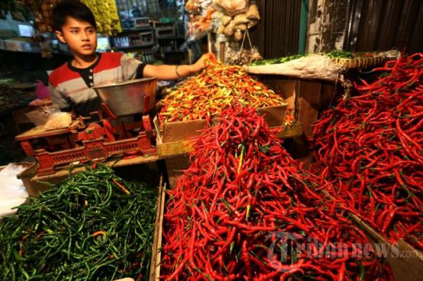 Harga Cabai Anjlok, Ini Tanggapan Kementan