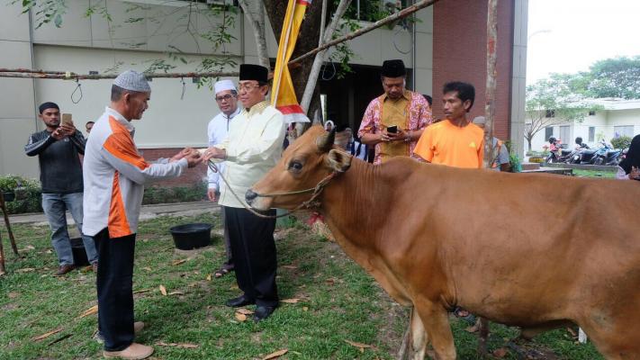 Perayaan Idul Adha 1438 H, Bupati Wardan Saksikan Penyembelihan 9 Ekor Hewan Qurban Setda Inhil