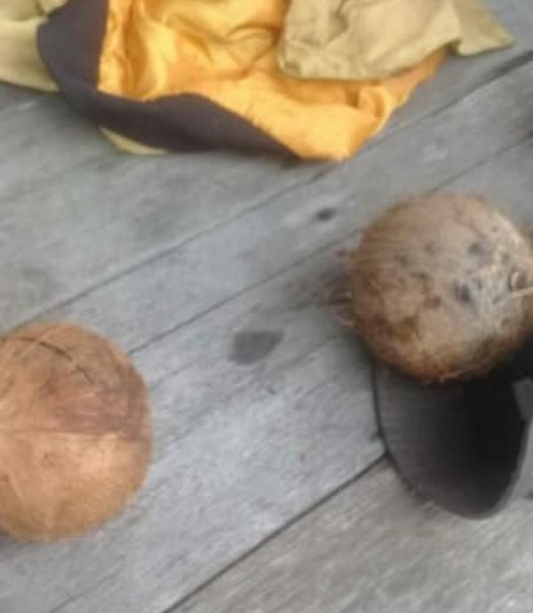 Kades di Pulau Burung, Dipukul Warganya Dengan Buah Kelapa 