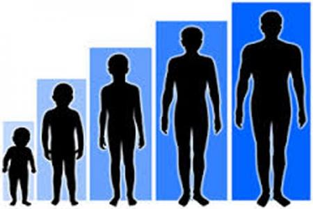 Ilmuwan Temukan Variasi Gen Tinggi Badan