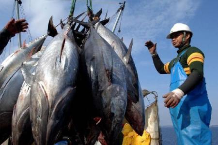 KKP-WWF Lanjutkan Kerja Sama Pengelolaan Perikanan