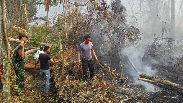  Lahan 110 Ha Terbakar, Petugas Berjibaku Padamkan Api