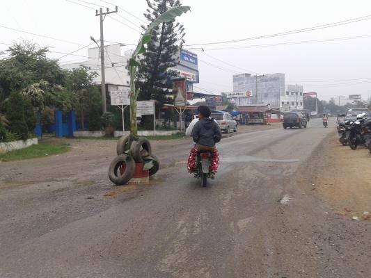 Jalan Lintas Berlubang, Warga Tanam Pohon Pisang