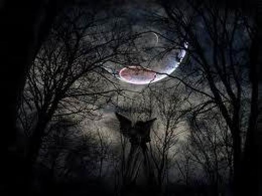 Keluar Dari Kegelapan Dunia Hitam, Mau?