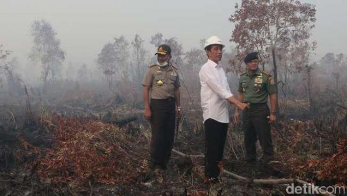 Pantau Bencana Kabut Asap, Jokowi Susuri Kampar via Darat