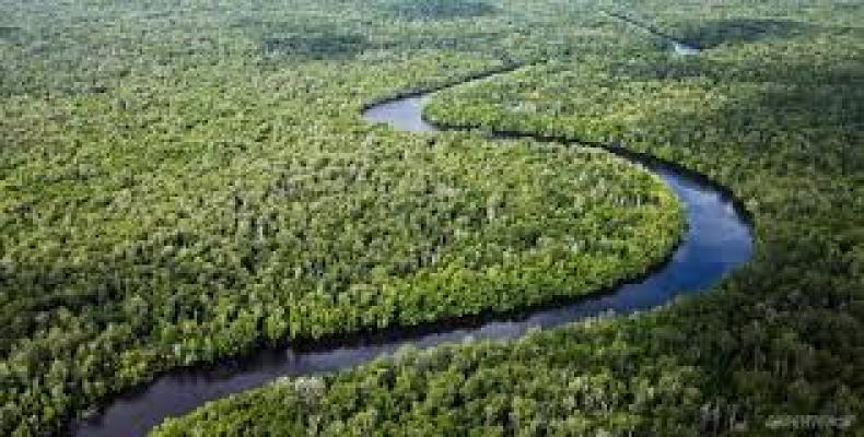 Pemanfaatan 1,4 Juta Hektare Lahan Gambut Sumsel Dievaluasi