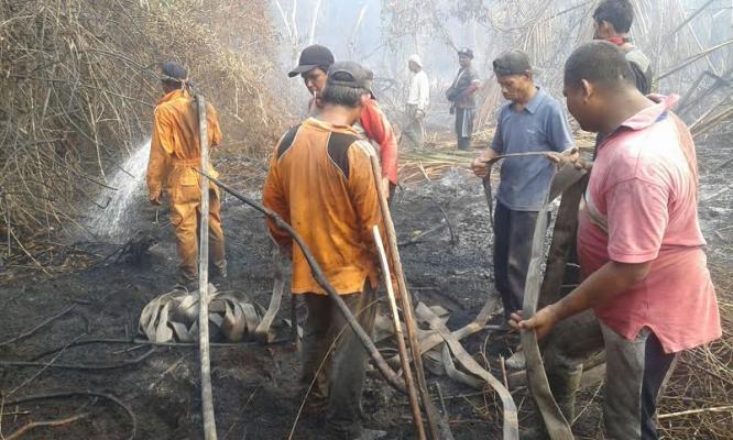 Personil Fire Fighter RAPP Berjibaku Padamkan Api di Desa Bandul
