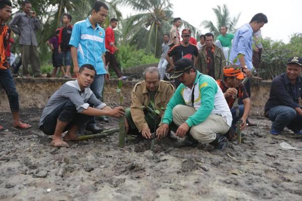 Prihatin Abrasi, IPMK2M Tanam Mangrove