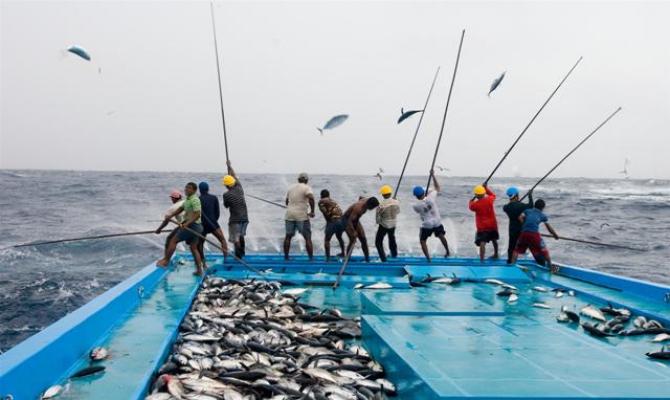 Potensi Laut Tinggi, Tapi Inhil Tidak Miliki Pelabuhan Perikanan