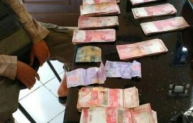 Heboh! Pelajar Temukan Kantong Berisi Uang Puluhan Juta Nyangkut di Pohon