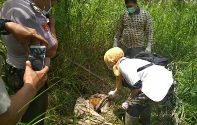 Penemuan Mayat di Teluk Pinang, Ternyata Seorang Kakek Yang Hidup Sebatang Kara