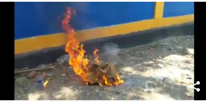 Video Guru Honor Ini Bakar Ijazah Kuliahnya, Lantaran Tak Lolos Seleksi Administrasi 