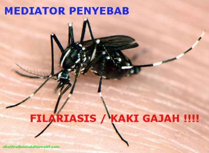  Bengkalis di Rekomendasikan  5 Tahun berturut-turut  Pemberian Obat Masal
