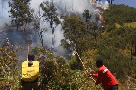 UU Perusakan Hutan Langgar Prinsip Persamaan Dimuka Hukum