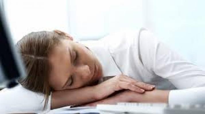 Apa Benar Tidur Siang Hari Bisa Meningkatkan Kinerja? Berikut Ulasanya.