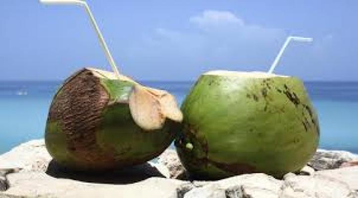 Apa yang Membuat Air Kelapa Menjadi Penawar Racun ? Berikut Ulasanya.